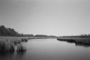 Mer Bleue Bog, Ottawa
