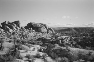 Joshua Tree NP