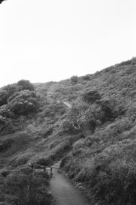 Marin Headlands