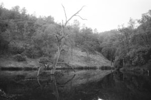 Frog Lake